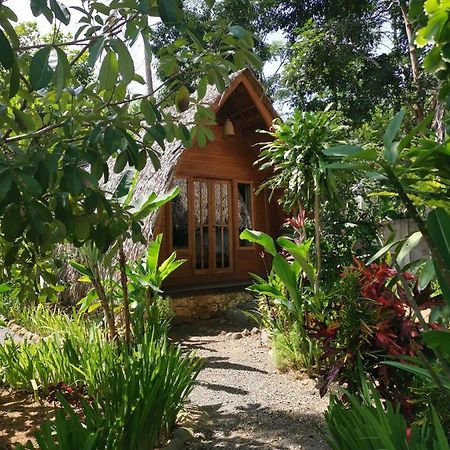 Coconut Tree Cottages Batukaras ภายนอก รูปภาพ