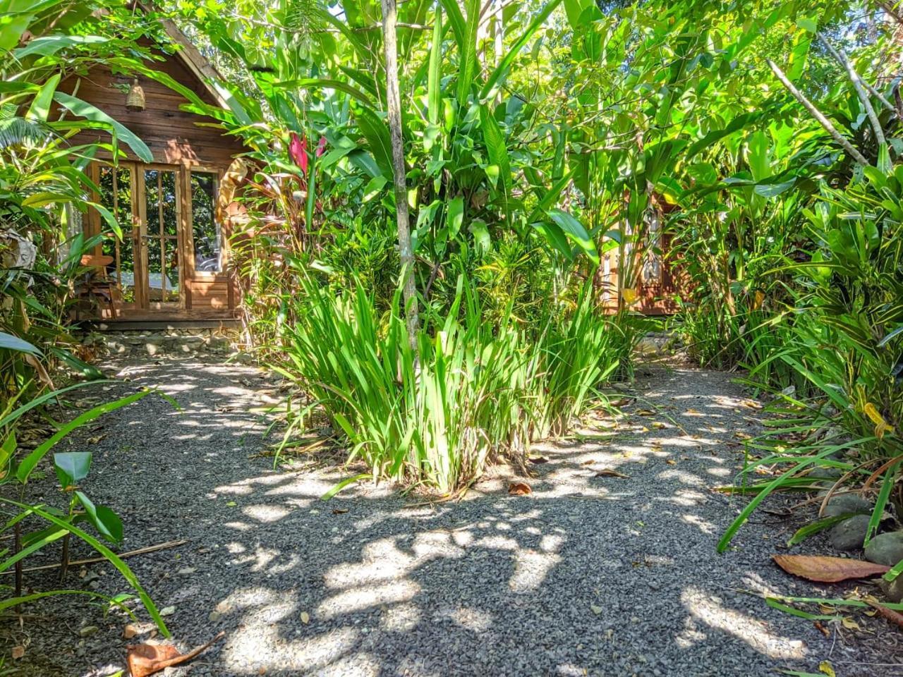 Coconut Tree Cottages Batukaras ภายนอก รูปภาพ